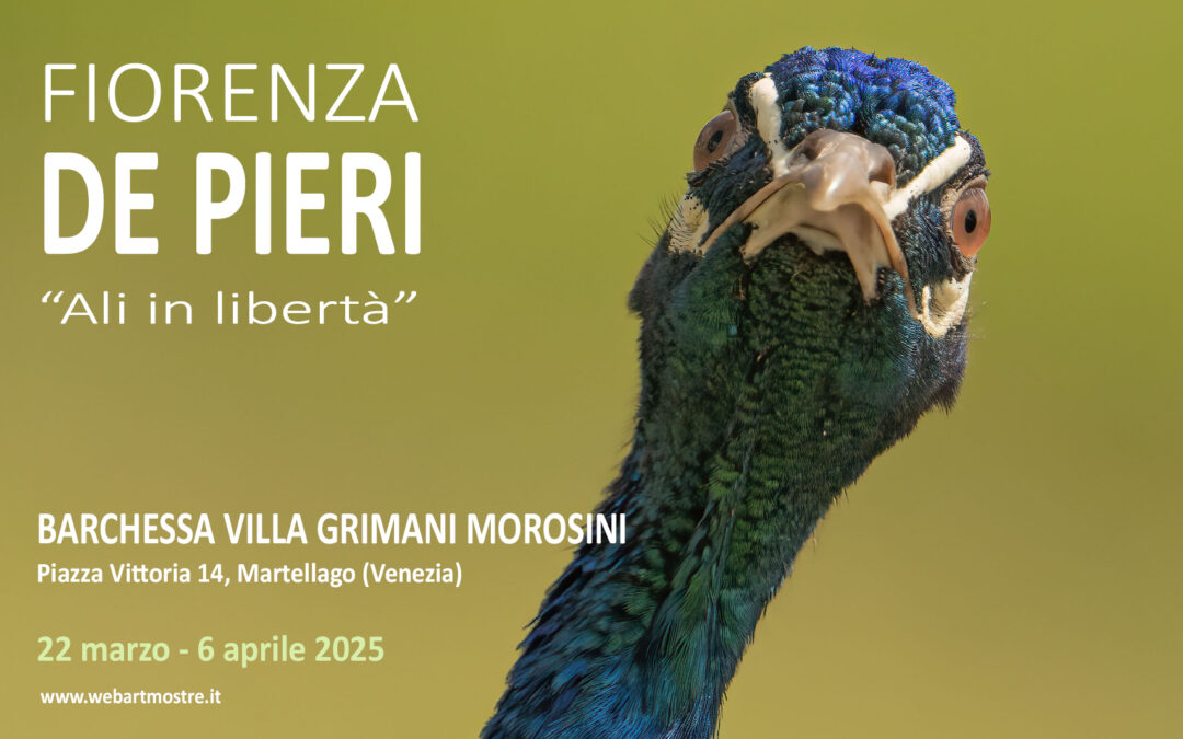 Fiorenza De Pieri, “Ali in libertà”