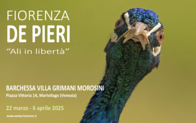 Fiorenza De Pieri, “Ali in libertà”