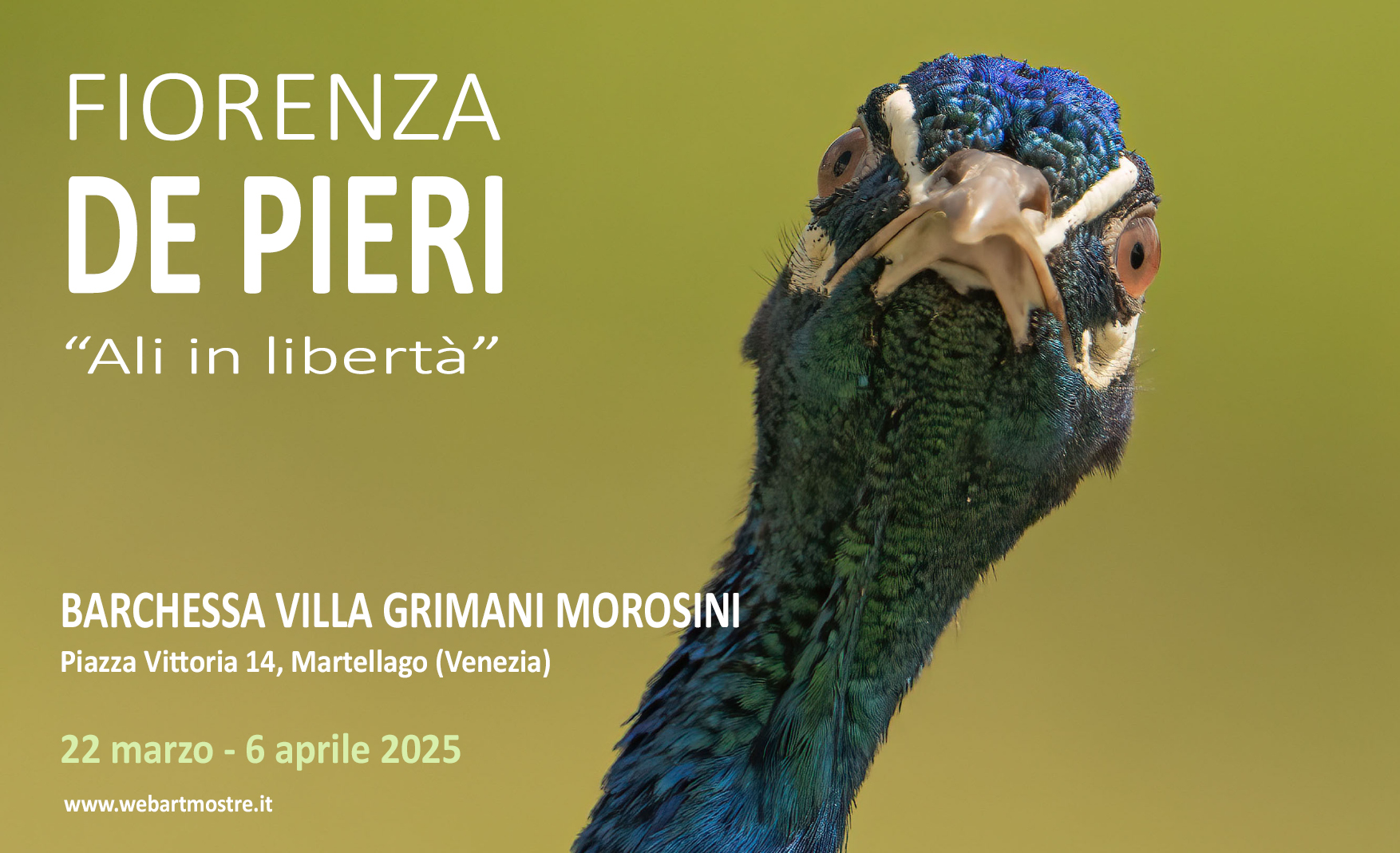 Fiorenza De Pieri