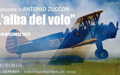 “L’alba del volo” di Antonio Zuccon